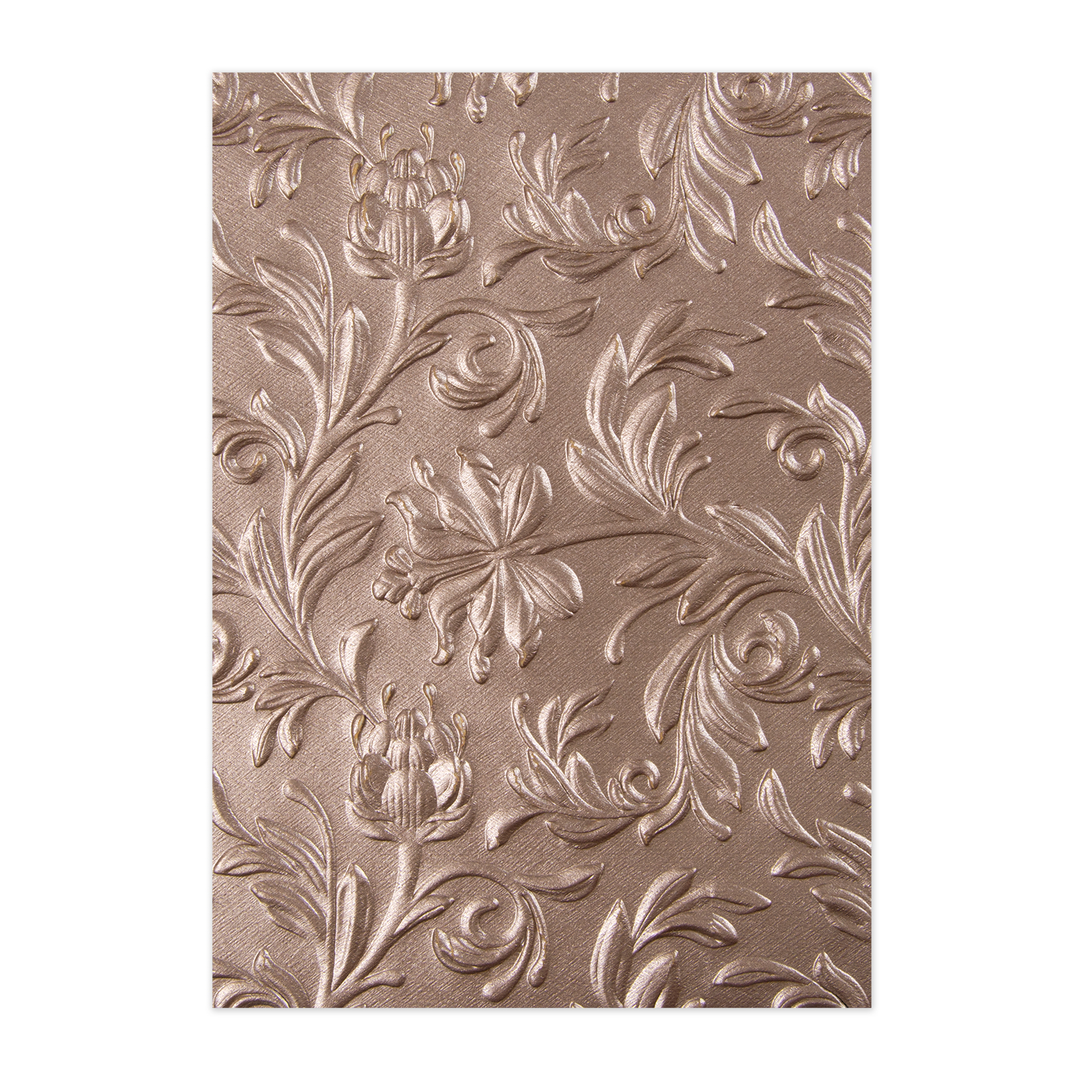 SIZZIX Embosovacia kapsa 3D - Listy /14,6x11,4cm/